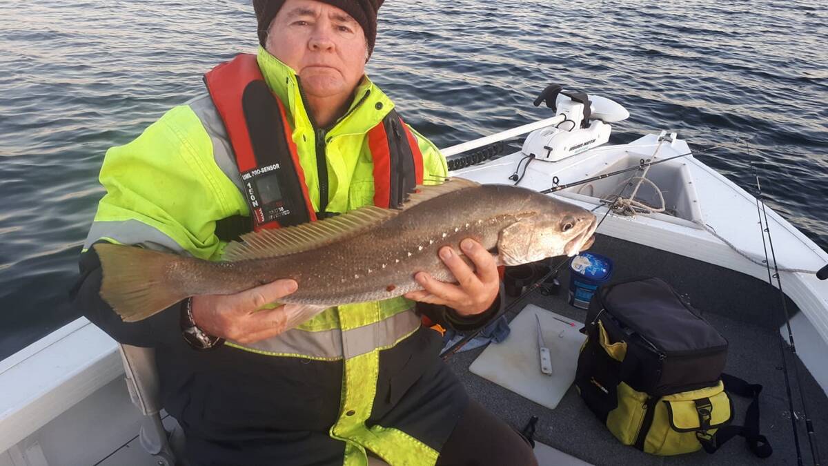 FISH OF THE WEEK: Ken Peterson wins the $45 prize this week, courtesy of the good people at Tackle Power Sandgate, for this surprise 71cm jew caught on fresh chicken and light gear while targeting bream in Lake Macquarie. 