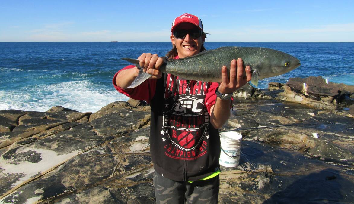 FISH OF THE WEEK: Caine Wilson from Wallsend wins the Jarvis Walker tacklebox and Tsunami lure pack for this Australian salmon hooked off the rocks this week.