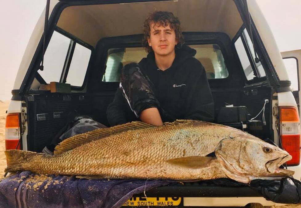 FISH OF THE WEEK: Trent Thompson win the Jarvis Walker tacklebox and Tsunami lure pack for this 135cm, 22kg jew hooked on Stockton Beach last week with a live tailor.