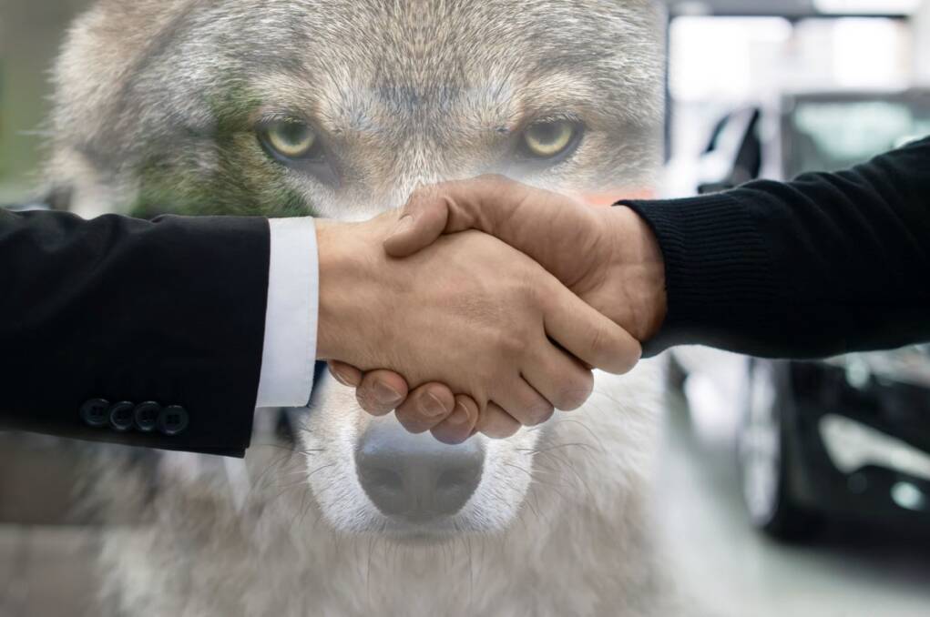 TRUST ME: Buying a used car can sometimes feels like dancing with wolves.