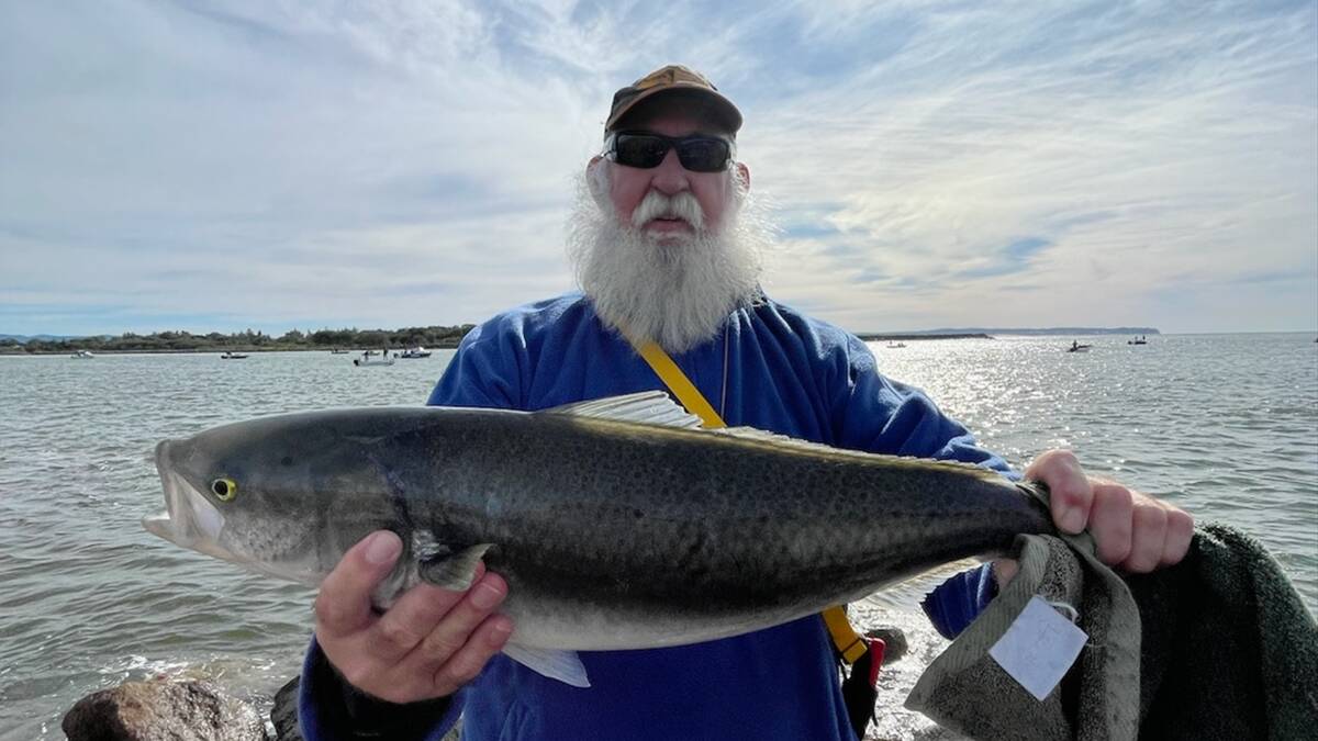 FISH OF THE WEEK: Tony Walker wins $50 courtesy of Hot Tackle at Toronto and Morisset for this 70cm salmon hooked in Swansea Channel recently. 