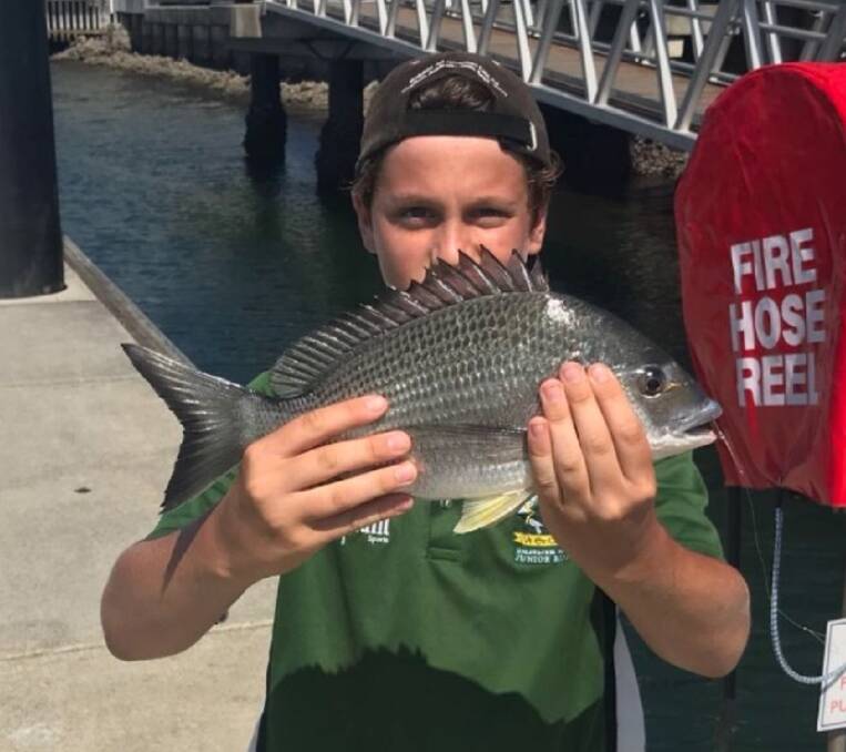FISH OF THE WEEK: Henry Draganic wins the Jarvis Walker tacklebox and Tsunami lure pack for the 40cm bream caught in Newcastle Harbour this week on ZMan GrubZ.