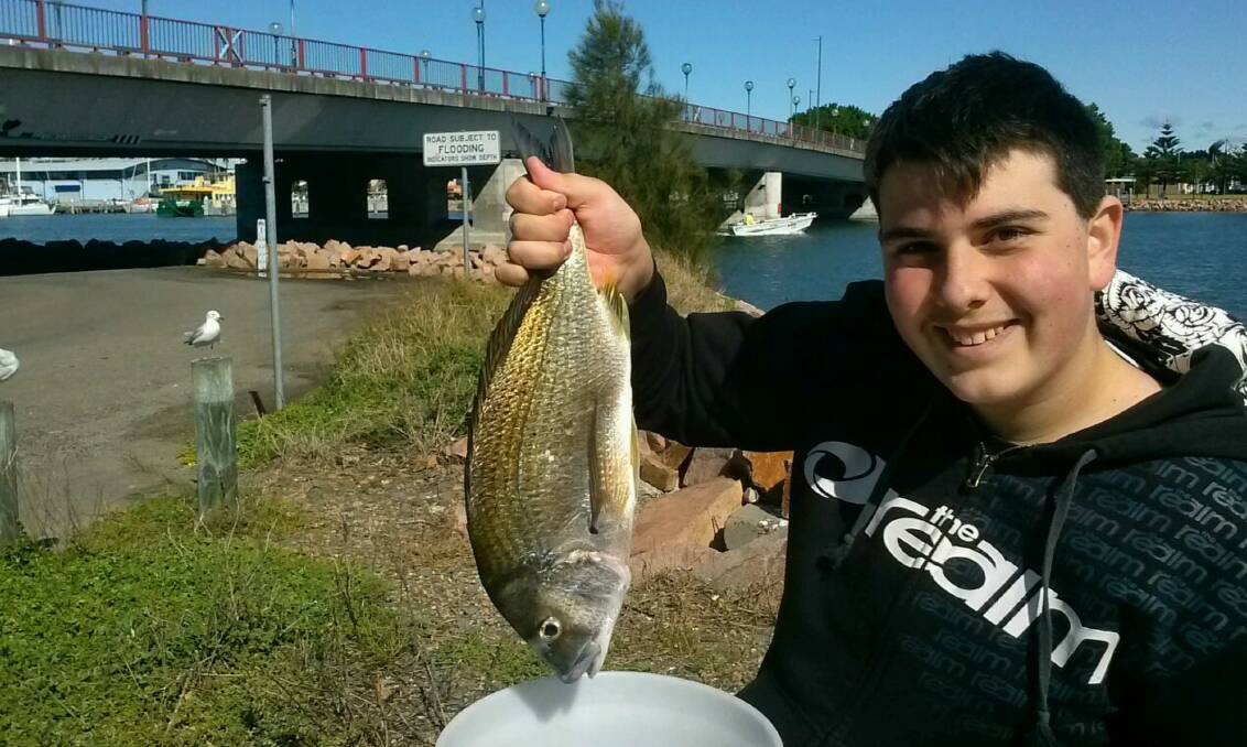 FISH OF THE WEEK: Matthew Bisegna, 15 years old of Adamstown Heights, wins the Jarvis Walker tacklebox and Tsunami lure pack for this bream hooked in Newcastle Harbour recently.
 
