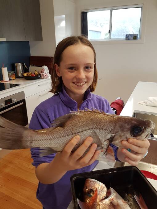 FISH OF THE WEEK: Twelve-year-old Brooke Hill from Redhead wins the Jarvis Walker tacklebox and Tsunami lure pack for this  Pearl Perch caught off Forster on the weekend.