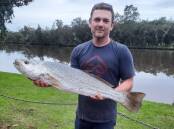 FISH OF THE WEEK: Nick Burrup wins $45 courtesy of Sandgate Tackle Power for this 85cm mulloway caught on live squid in Lake Macquarie recently.