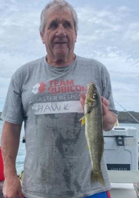 FISH OF THE WEEK: Peter "Hawk" O'Davis wins $45 courtesy of Sandgate Tackle Power for this 45cm whiting caught in Swansea Channel recently.