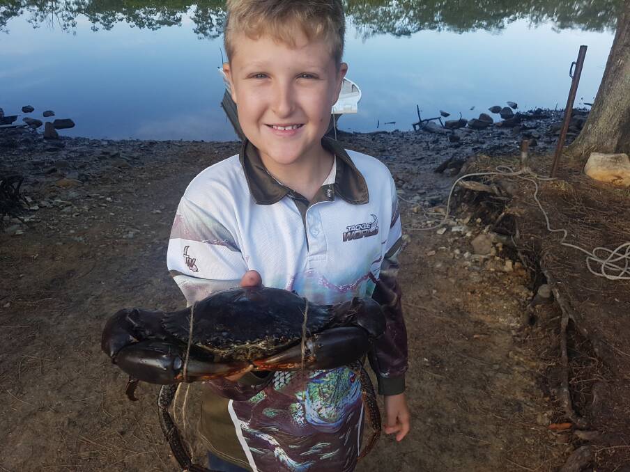 FISH OF THE WEEK: Make that "Crab of the Week", Jackson King,10 years old from Singleton, got this cracker crabbing with his old man at Karuah recently. 