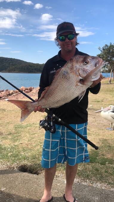 FISH OF THE WEEK: Mark Driver wins the Jarvis Walker tacklebox and Tsunami lure pack for this substantial snapper hooked off Broughton Island on Monday.