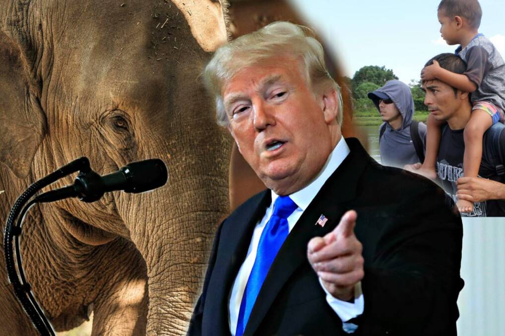 ELEPHANT IN THE ROOM: Donald Trump continues to blur the line between reality and reality TV.