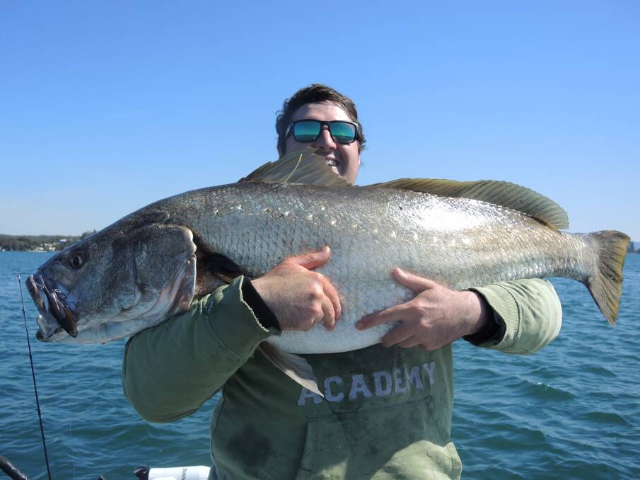 FISH OF THE WEEK: Alex Schmaler-Loomes wins the Jarvis Walker tacklebox and Tsunami lure pack for this monster 132cm mulloway tagged and released in Lake Macquarie this week.