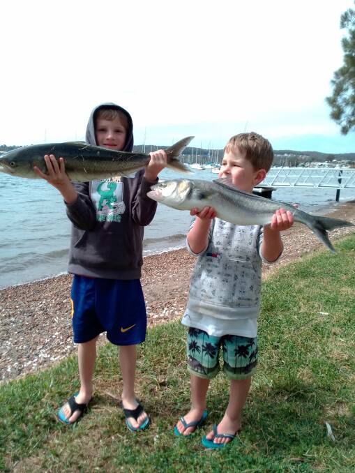 FISH OF THE WEEK: Nicholas and James Riorden win the $45 prize from Tackle Power Sandgate for these super salmon hooked in Lake Macquarie recently.