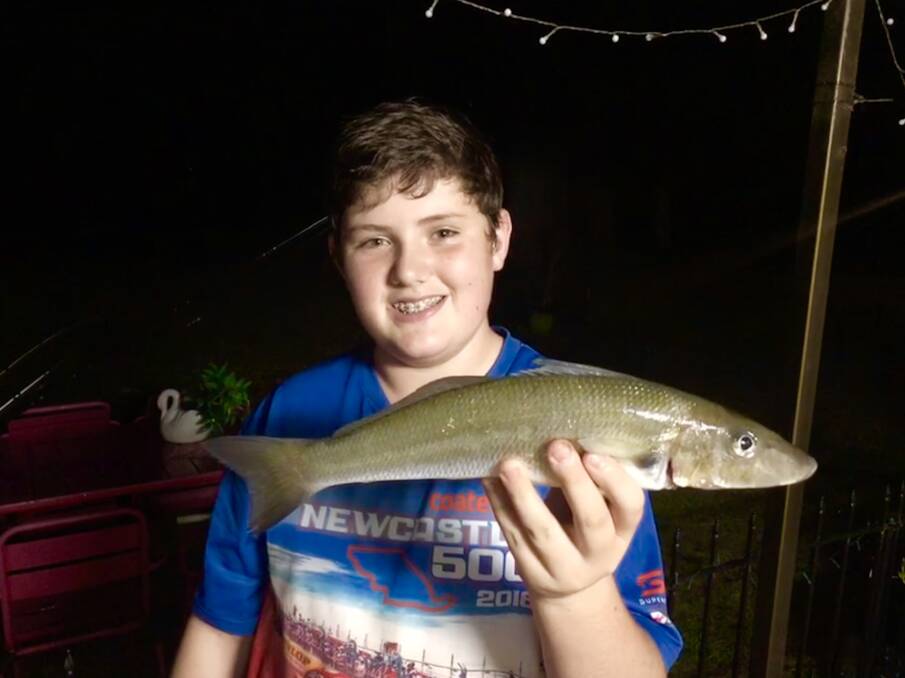 FISH OF THE WEEK: Drew Graham caught this 41cm horse of a whiting  on a prawn at his Nan’s place at Fenningham's Island. 