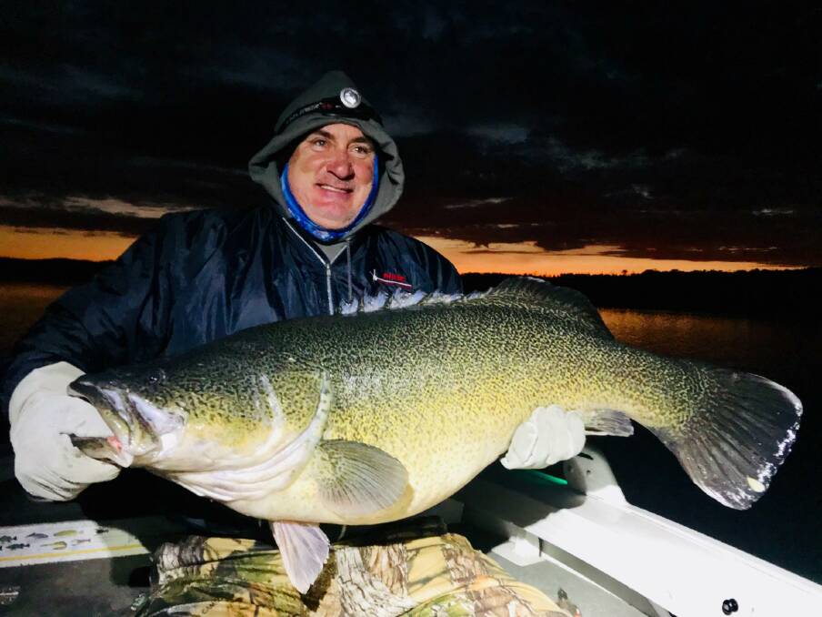 FISH OF THE WEEK: Darren Newell wins the Jarvis Walker tacklebox and Tsunami lure pack for this mighty cod dragged out of Copetoun Dam last weekend.
