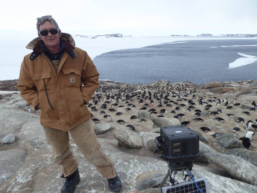 KEEPING HIS COOL: Dr Colin Southwell with a remotely controlled camera at an Adelie penguin colony on Odbert Island near Casey Station. Photo: Louise Emmerson