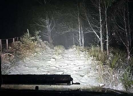 DUSTING: Snow at Barrington Tops on June 4, 2019. Picture: Justin Lawrence