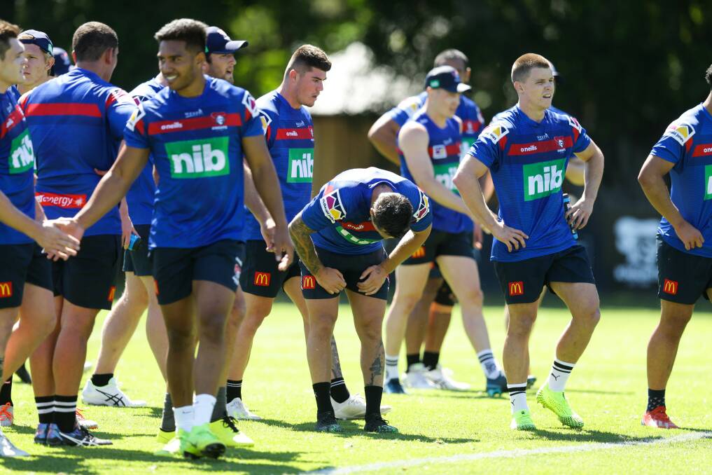 SWEATING: The Knights at training. Pictures: Jonathan Carroll