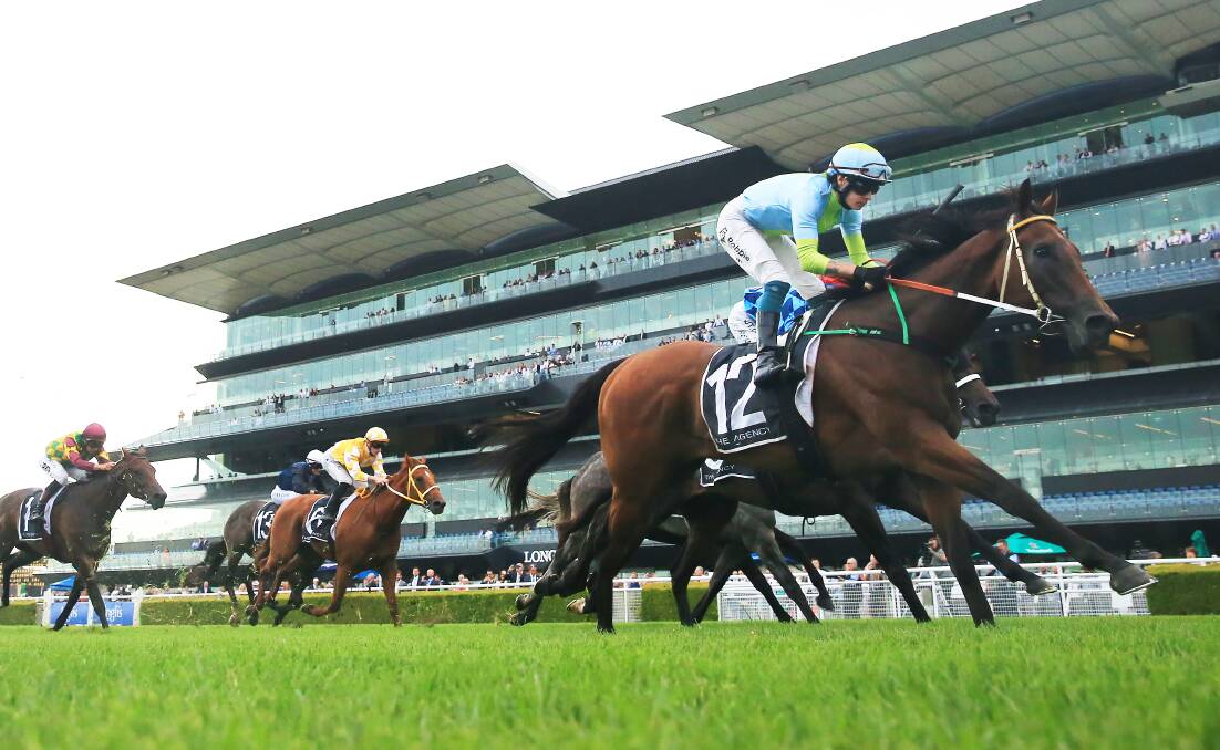 TOP EVENTS: Paul Perry-trained Sky Lab will contest the group 1 Epsom at Randwick on Saturday. Picture: Getty Images