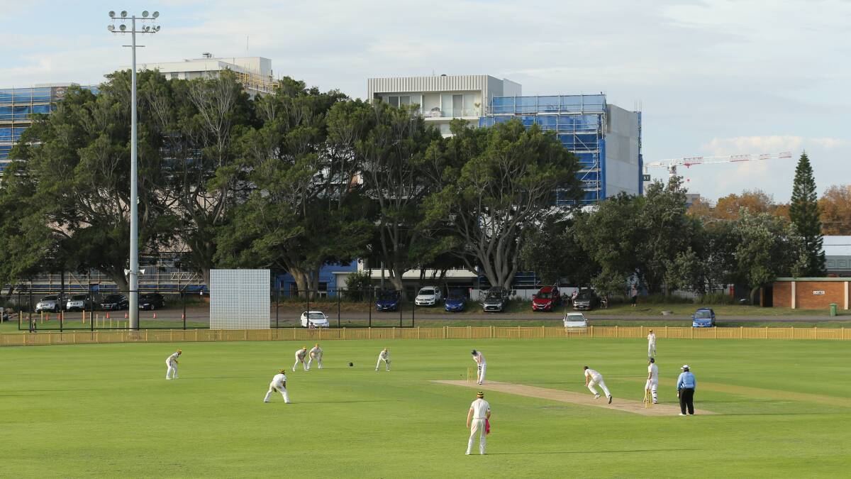The Leading Edge: Newcastle cricket's weekly wrap-up