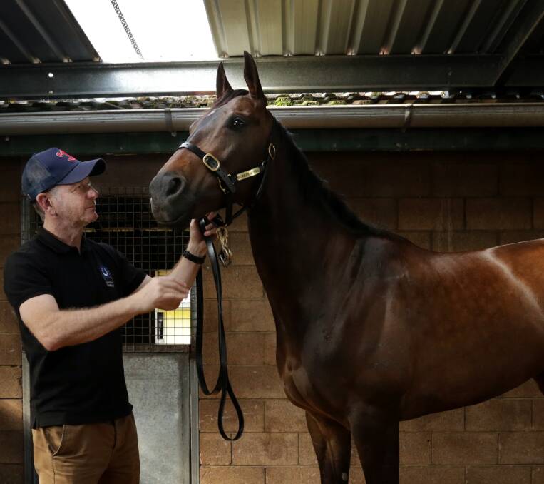 HIGH HOPES: Trainer Kris Lees with mare In Her Time which will run in the Hall Mark Stakes on Saturday. Picture: Simone de Peak.
