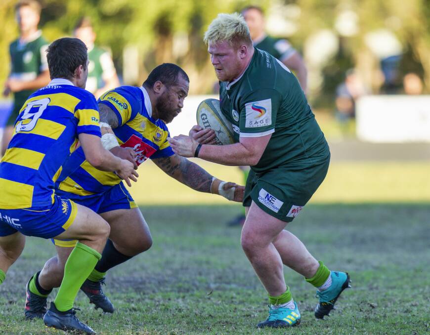 HEAD ON: Hamilton hooker Chris Ale goes in for a tackle on Merewether's English prop Dave Whiting during the Hawks' 27-10 win at Townson Oval on Saturday. Picture: Stewart Hazell