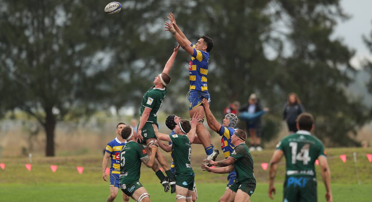 TALL TIMBER: Hamilton lock Taufa Kinikini climbs high to collect a lineout ball against Merewether at Marcellin Park on Saturday. Picture: Max Mason-Hubers