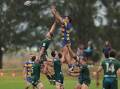 TALL TIMBER: Hamilton lock Taufa Kinikini climbs high to collect a lineout ball against Merewether at Marcellin Park on Saturday. Picture: Max Mason-Hubers