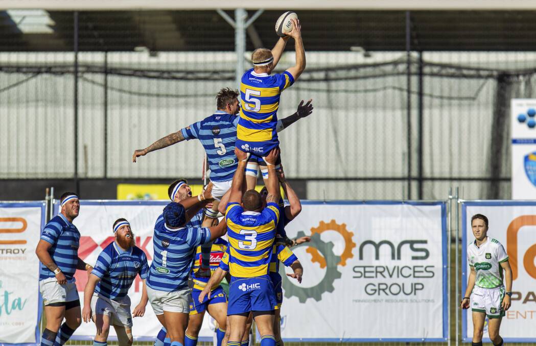 FLYING HIGH: Joe Akkerdyke soars high to claim a lineout throw in the Hawks 40-29 win over Wanderers. Picture: Stewart Hazell