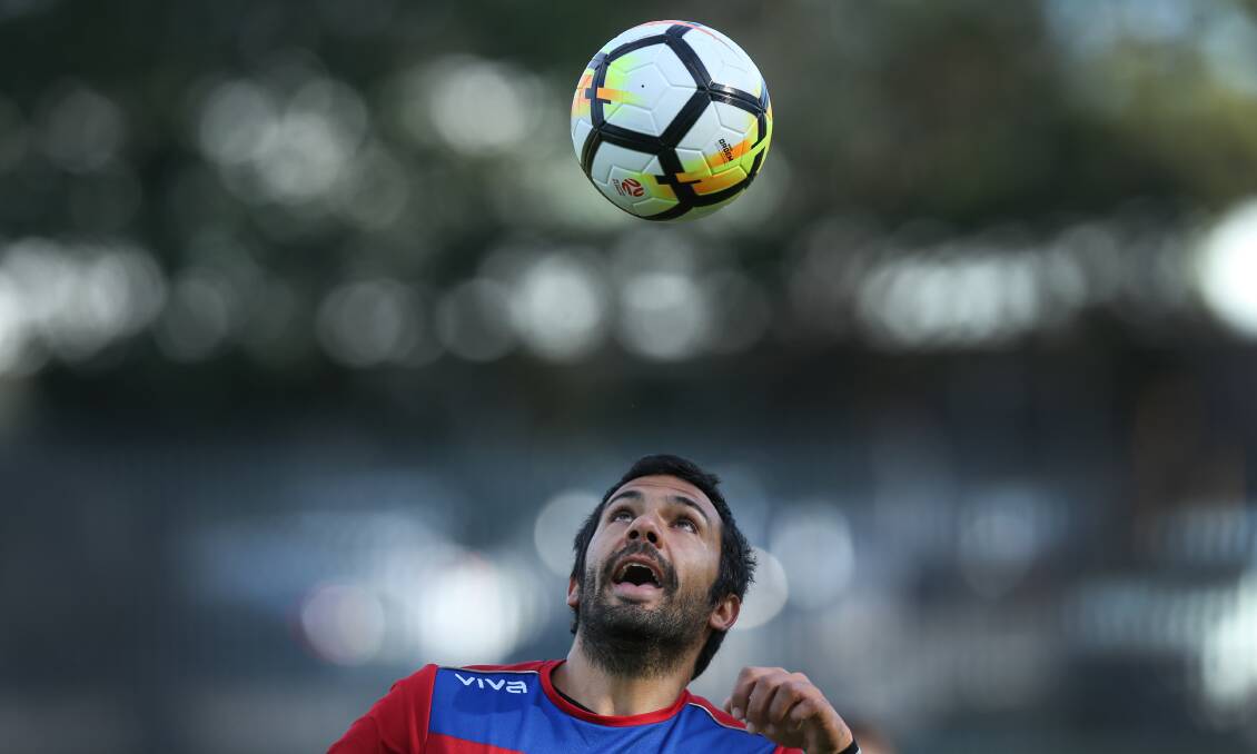 HEADING IN THE RIGHT DIRECTION: Nikolai Topor-Stanley is back in full training after recovering from a calf injury. Picture: Jonathan Carroll