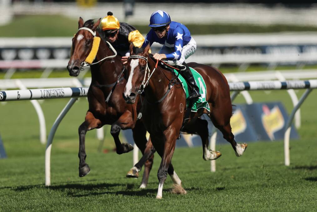 ON TRACK: Brett Cavanough-trained gelding powers to the line to win the Highway Handicap (1200m) at Randwick on Saturday. Picture: Getty Images
