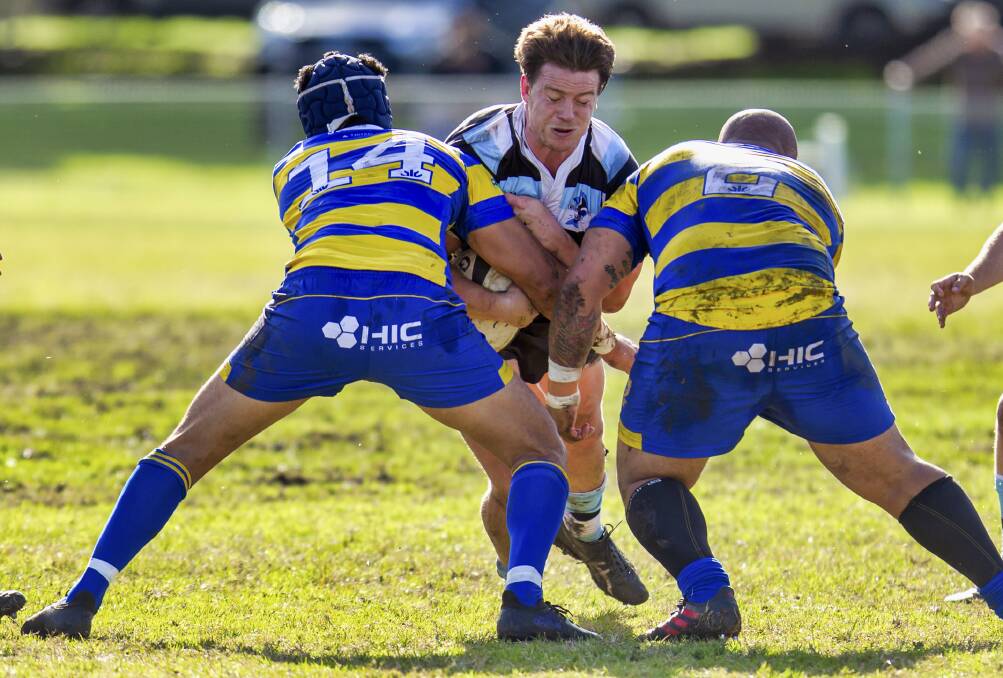 CRUNCH: Nelson Bay breakaway Nathan Oliver is met by a double hit from Fiso Vasegote and Chris Ale in the Gropers 43-15 loss to Hamilton on Saturday. Pictures: Stewart Hazell 