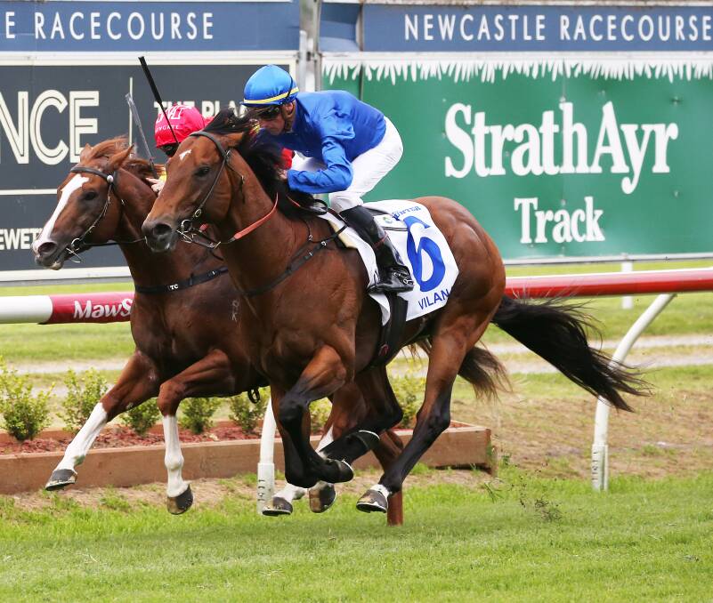 Nash Rawiller drives Vilana to the post to win the 2022 The Hunter, 1300m, for trainer James Cummings at Newcastle Racecourse. Pictures by Peter Lorimer. 