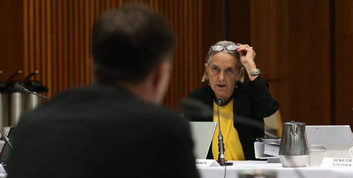CONCERNS: Greens Senator Lee Rhiannon has been critical of the government's handling of the Williamtown contamination issue since it emerged last year. Picture: Andrew Meares