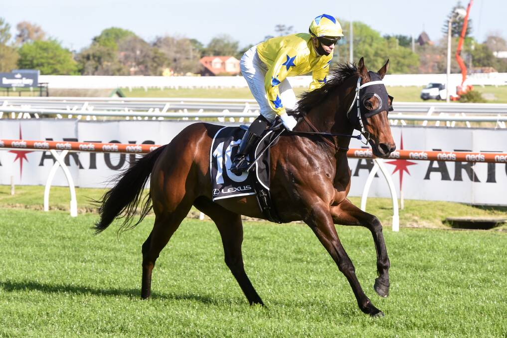 STABLE STAR: The Sam Kavanagh-trained Sikandarabad will contest the group 3 Hawkesbury Gold Cup on Saturday. Picture: Getty Images