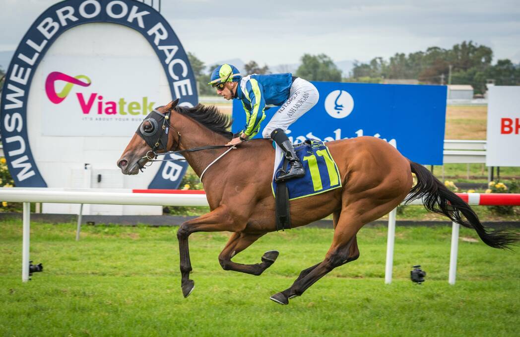 GOLDEN OLDIE: Petrology swoops down the outside to win the Muswellbrook Cup in March. Picture: Muswellbrook Race Club