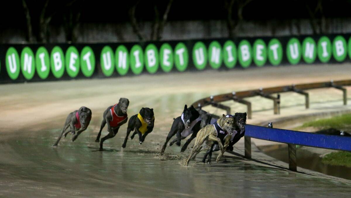 Greyhound NSW announces 10 regional racing tracks will remain open as NSW locks down amid COVID-19 pandemic Newcastle Herald Newcastle, NSW