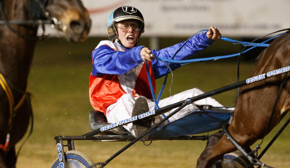 Tamworth reinsman Tom Ison has a strong book of drives at Newcastle Paceway, including Majic Moment in the second race. Picture by Max Mason-Hubers