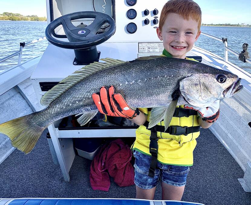 FISH OF THE WEEK: Cooper Dedman, 7, wins the Jarvis Walker tacklebox and Tsunami lure pack for his first jewfish, an 80cm catch, on a samaki vibelicious 100mm.
