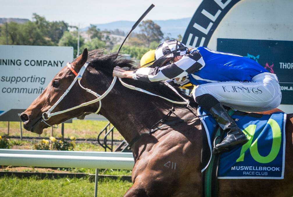 JUST ON TIME: Jockey Koby Jennings drives the Kris Lees-trained Mobstar to the finish line to beat Fiendish by a third of a length at Muswellbrook on Monday. Picture: Muswellbrook Race Club