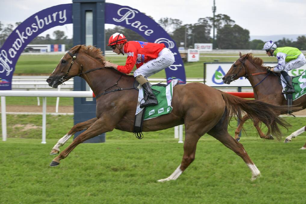 SYDNEY SHOT: The Nathan Doyle-trained Starboreta winning at Hawkesbury. Picture: Hawkesbury Race Club