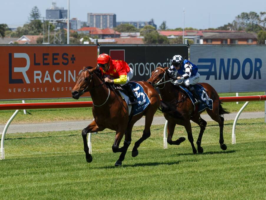ALL CLASS: The Peter and Paul Snowden-trained Strasbourg and jockey Corey Brown cruise to victory in the $75,000 Max Lees Classic (900 metres) at Newcastle Racecourse on Sunday. Picture: Max Mason-Hubers