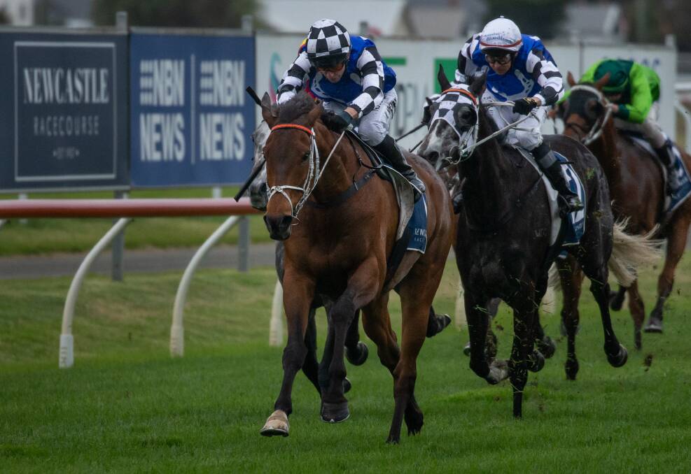 WINNER: Mugatoo storming to victory in the 2020 Newcastle Cup. 