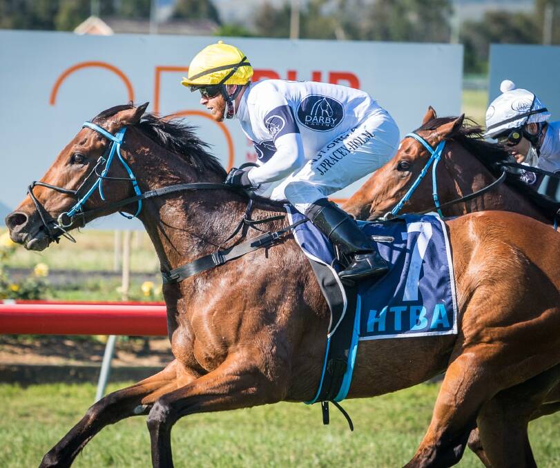 TOO SLICK: Primal Scream beating stablemate Into The Fire last start at Muswellbrook over 1000m. Picture: Muswellbrook Race Club