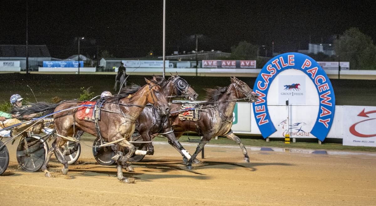 THRILLING FINISH: Yayas Hot Spot, on the inside, gets the win. Picture: HRNSW