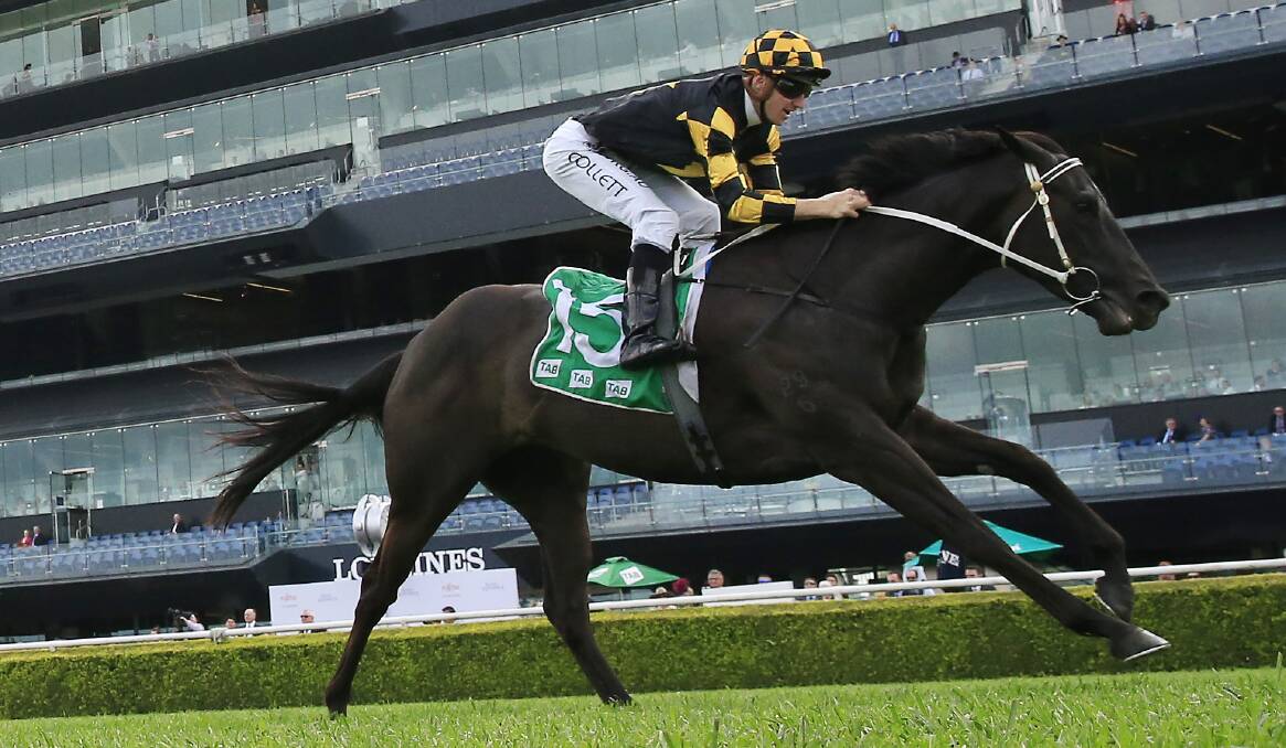 EYE-CATCHER: It's Me and jockey Jason Collett cruise to victory at Randwick on August 22. Picture: Getty Images