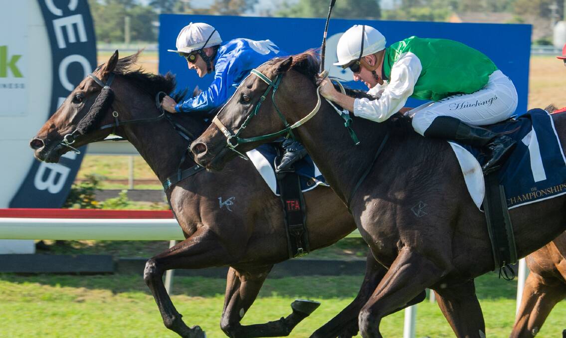 UP FRONT: Todd Howlett-trained Two Big Fari beating Bobbing at Muswellbrook in a Country Championship wildcard qualifier in March this year. Picture: Muswellbrook Race Club