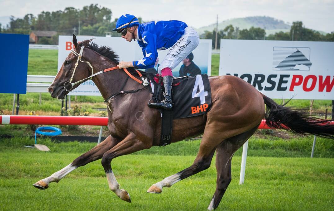 Fender. Picture: Muswellbrook Race Club