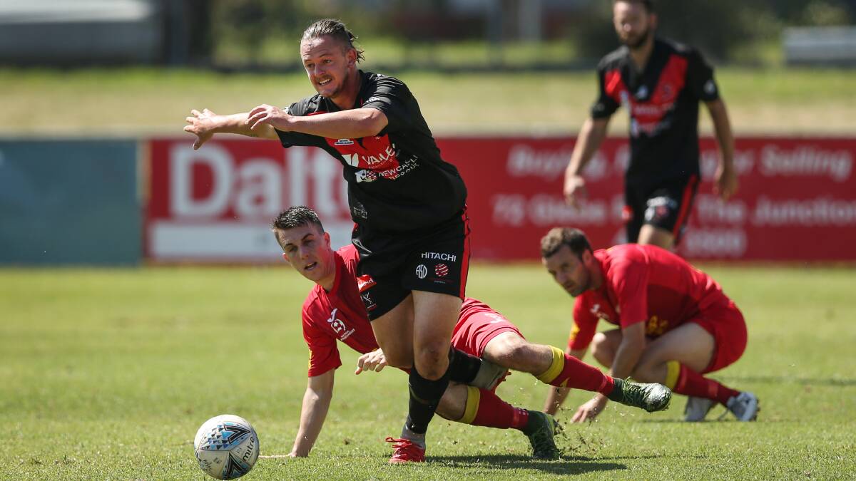 Edgeworth look to Dylan Holz for boost as NPL finals battle heats up