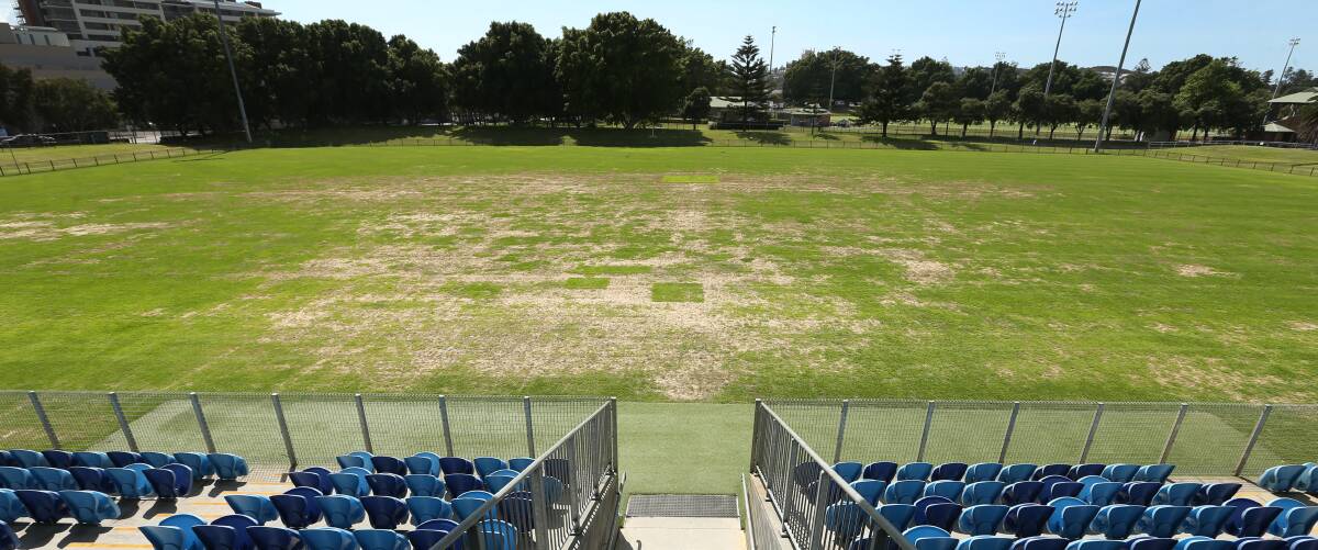 RECOVERING: The No.2 Sportsground surface two weeks ago shows the wear and tear of the rugby union season. Picture: Marina Neil