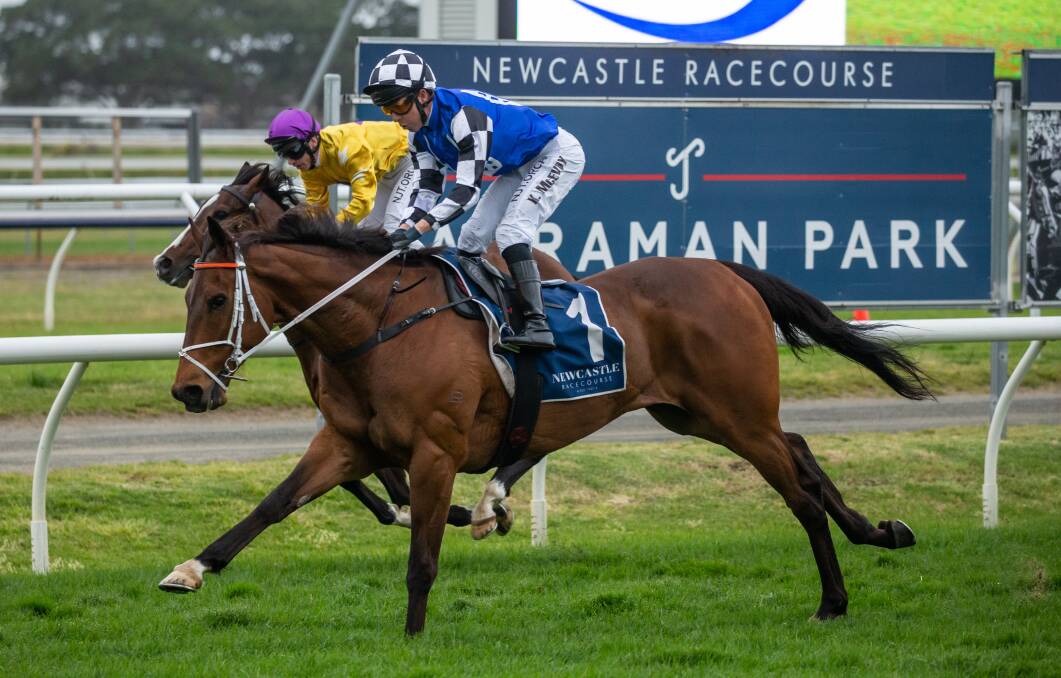 BIG LOSS: The Kris Lees-trained Mugatoo winning the Newcastle Cup last September. Picture: Marina Neil