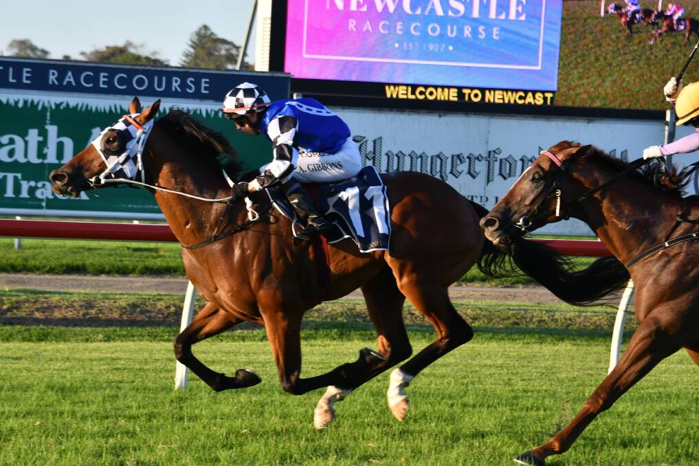 STRONG: The Kris Lees-trained Animate and jockey Andrew Gibbons win the final Provincial Championship qualifier on their home track at Newcastle Racecourse on Tuesday. Animate was an $8 chance in the heat and became the same price for the final. Picture: bradleyphotos.com.au